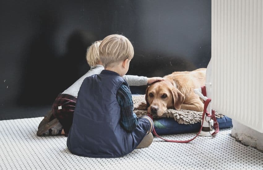 deux petits garçons avec un labrador