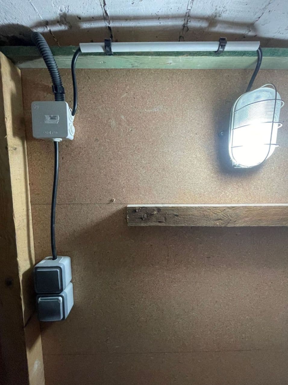 Cave de stockage propre et sécurisé avec électricité