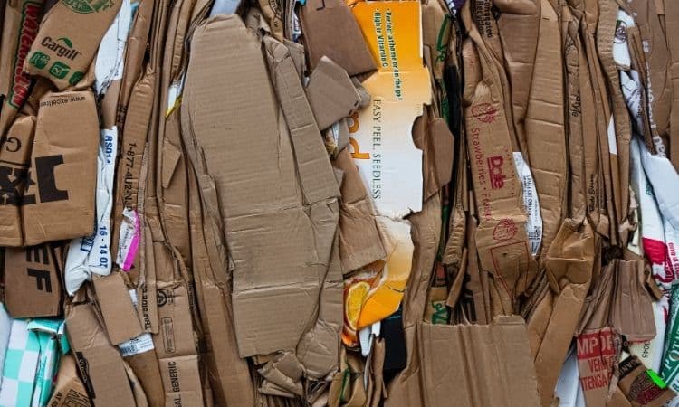 cartons usagés