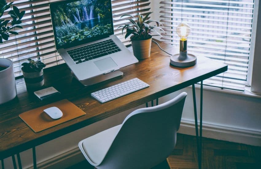 bureau décoré de plantes et lumière