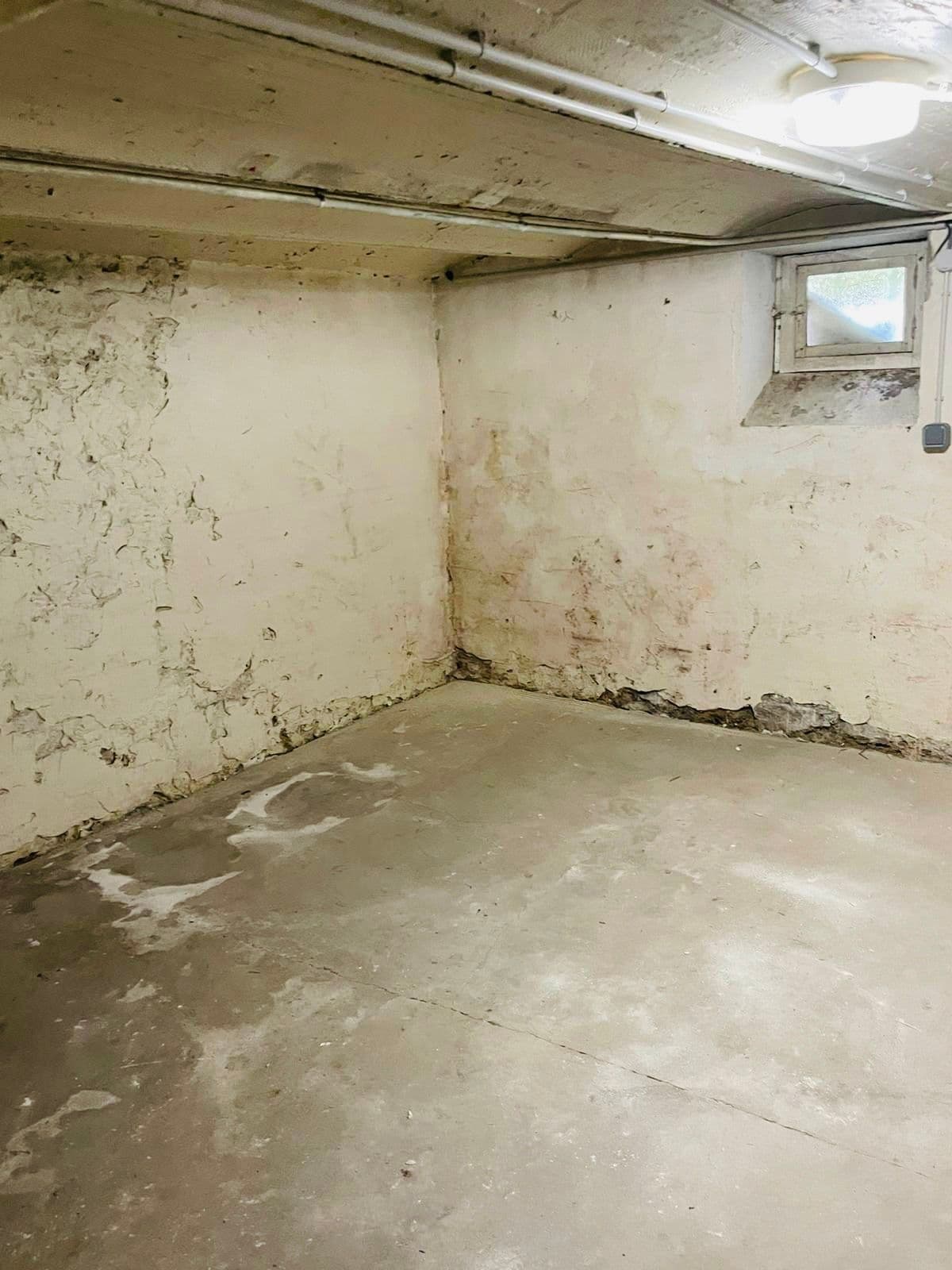 Cave propre et bien protégée