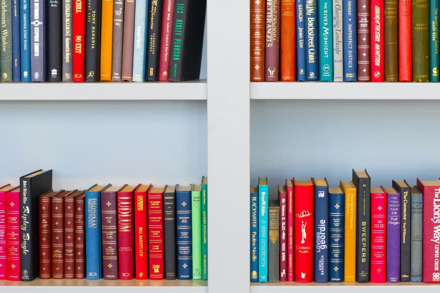 Livres de toutes les couleurs disposés sur une étagère grise