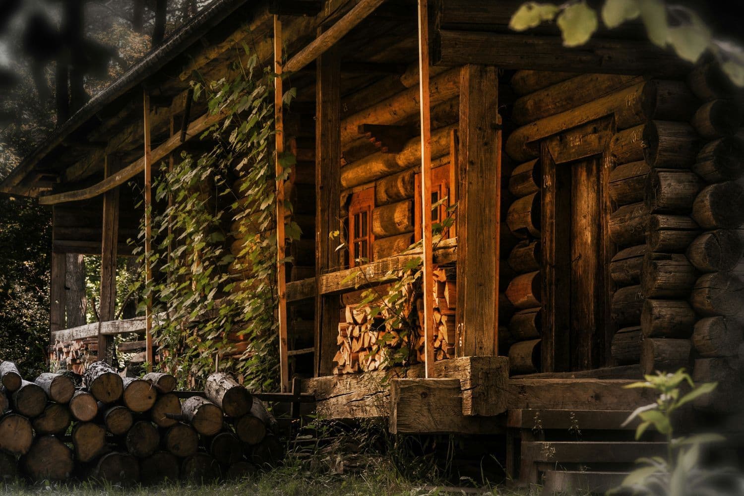 Entrée d’un chalet où sont entreposés des rondins de bois