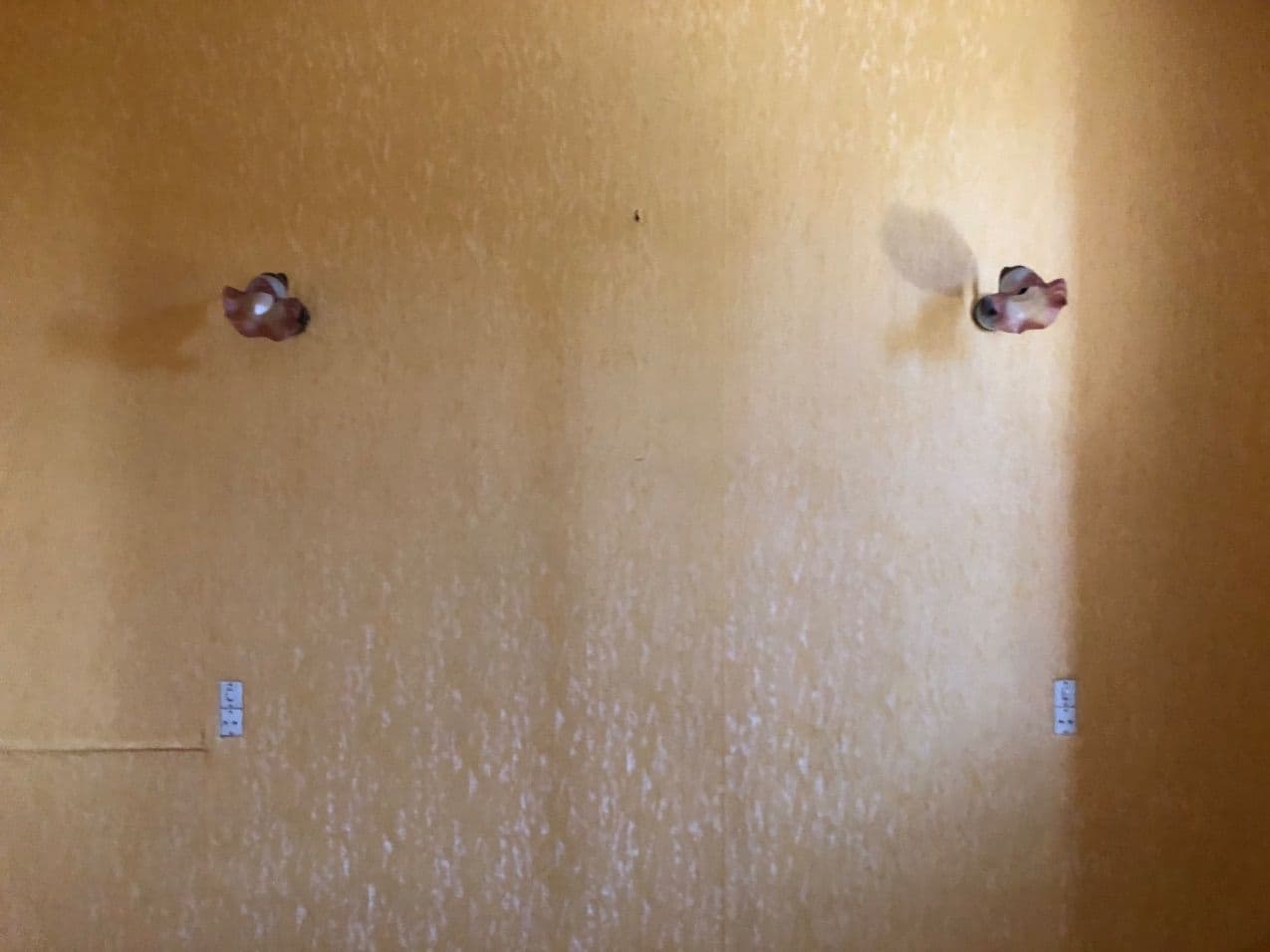 Pièce sécurisée à louer
