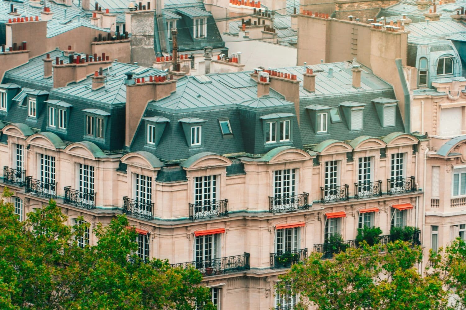 Vue sur la façade et le toit d’un immeuble parisien au second plan et sur le haut de plusieurs arbres au premier plan