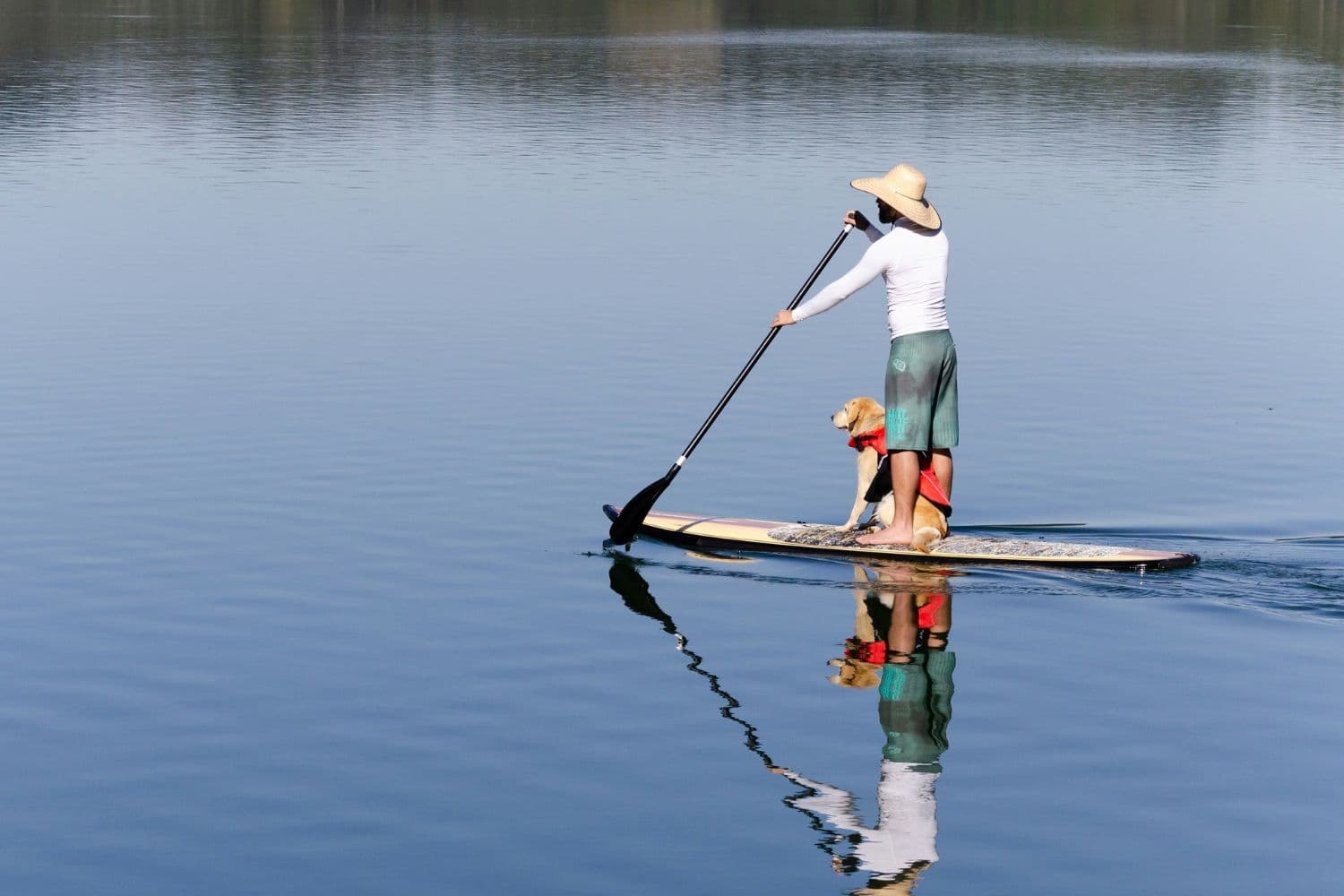 Personne équipée d’un chapeau debout sur un stand up paddle avec un labrador portant un gilet de sauvetage