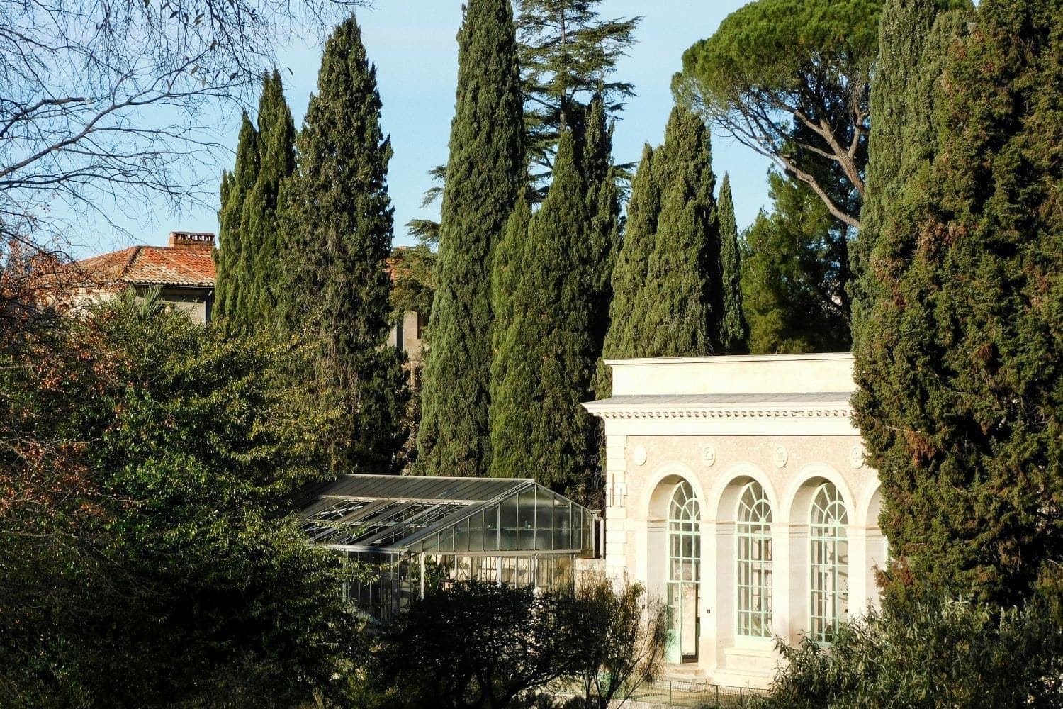 Vue sur la serre du jardin des plantes de Montpellier